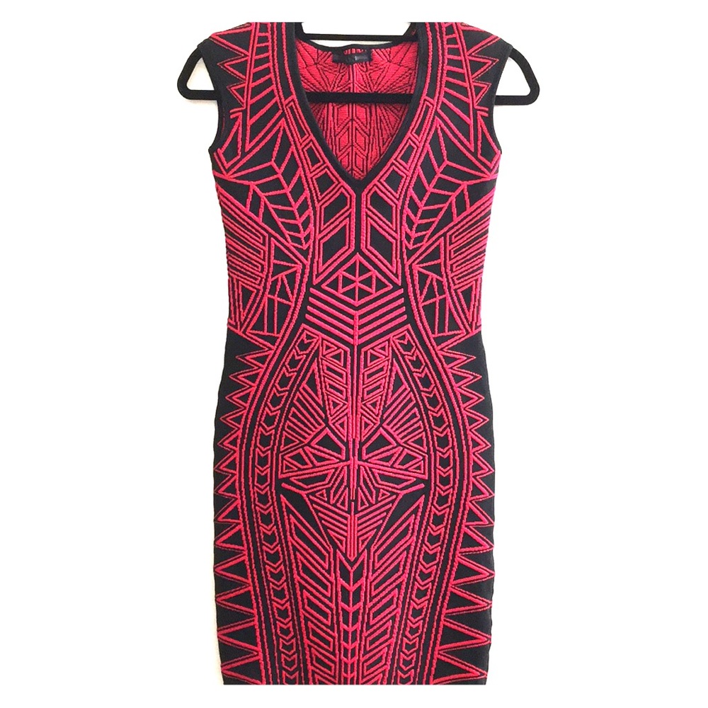 RVN Body Hugging Mini Dress